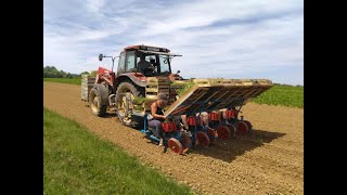 Plantation de miscanthus sur ZNT [upl. by Donn]