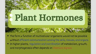 Let’s learn about Plant Hormones Phytohormones  CSIR NET2024 PlantHormones Jrf Botany [upl. by Arekahs]