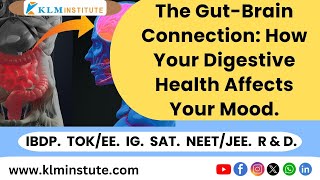 The GutBrain Connection How Your Digestive Health Affects Your Mood [upl. by Etnoled]