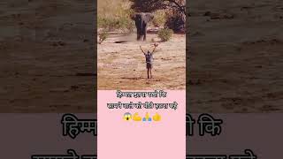 हिम्मत ईतनी रखो कि सामने वाले को पिछे हटना पडे़।whatsapp love whatsappstatus [upl. by Anayra]