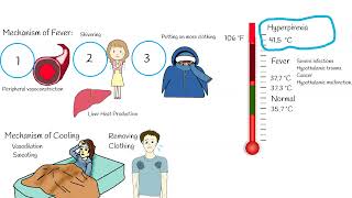 Body Temperature Fever Hyperpyrexia vs Hyperthermia heat stroke [upl. by Vas]