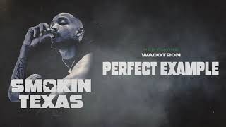 Wacotron  Perfect Example Official Audio [upl. by Aleit]