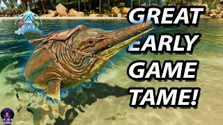 SECRETS of the ICHTHYOSAURUS  Taming amp Tips for Ark Survival Ascended [upl. by Karilla955]