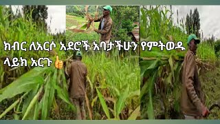 ክብር ለአርሶ አደር አባታችሁን የምትወዱ ላይክ አርጉ👍 [upl. by Furlong981]