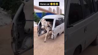 Silent comedy shorts  horse car 🙄🤣🤣 shorts youtubeshorts funnyvideo comedyvideo [upl. by Saidee]