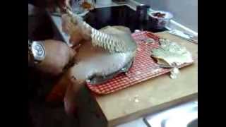 Ciscenje ribe sarana posebnom metodom  How to Clean a Fish [upl. by Hirza]