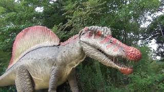 スピノサウルス 動く恐竜 ディノアドベンチャー名古屋 Spinosaurus ｜Dino Adventure Nagoya ｜Ryuuhal toys [upl. by Hamo]