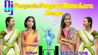 Dangarda Dangardi Soura Dj Romantic Love Audio Dj Dp Style Remix jbl Bass Mix [upl. by Ahsienad]