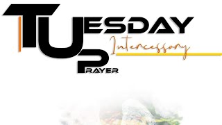 STCC 11122024 Tuesday night intercessory prayer ￼ [upl. by Warfourd782]