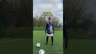 goalkeeper reaction training drills [upl. by Meador]