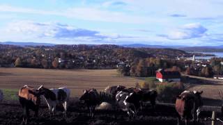 Helse Undersøkelsen i NordTrøndelag  NTNU [upl. by Raddy]