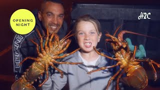 Catching California Spiny Lobster What you need to know amp How to [upl. by Lea972]