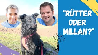 Martin Rütter oder Cesar Millan  Wer ist der bessere Hundetrainer [upl. by Meelas613]