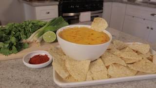 Slow Cooker Spicy Chicken Tortilla Dip [upl. by Dorette]