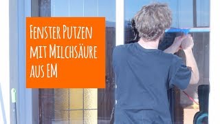 Fenster putzen mit Effektive Mikroorganismen EM oder Sauerkrautsaft [upl. by Cyb]