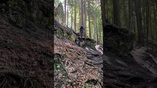 Familijna trasa na Słowacji ⛰️ mtb [upl. by Naujak146]