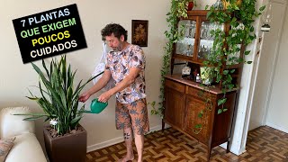 7 Plantas Para Apartamento Fáceis de Cuidar [upl. by Kcireddor]