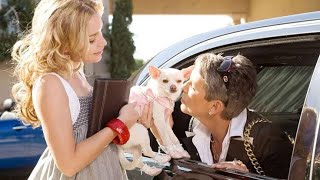 Beverly Hills Chihuahua Full Movie Facts And Review  Piper Perabo  Manolo Cardona [upl. by Heddi]