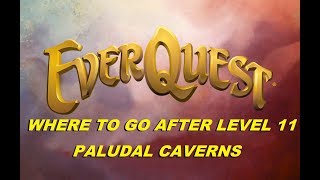 EVERQUEST LIVE  Where to go after level 11 Paludal Caverns 1080p [upl. by Brande]