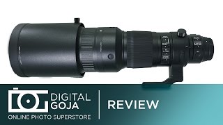 500mm Lens for Canon Sigma 500mm F4 DG OS HSM Sports Lens  Sample Images [upl. by Eniamej]