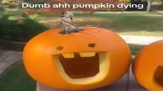 memes that make you PUMPKIN [upl. by Soutor661]