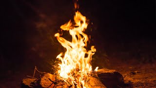 Bonfire Crackling Fire Sound Ambience  Relaxing Bonfire Sounds for Sleep amp Anxiety Relief [upl. by Marilin371]