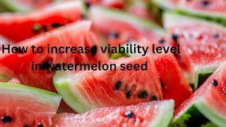 Growing juicy watermelon series Ep1 How to increase viability level in watermelon seed [upl. by Baxy290]