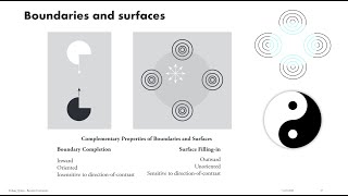 Grossbergian Neuroscience 03 What Art amp Illusion Can Tell Us About the Brain [upl. by Yolande]