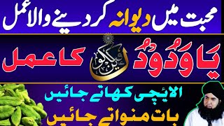 Mohabbat Mein DEEWANA Karne Ka Wazifa  Ya Wadoodo Ka ELAICHI Wala Amal  Dr Hamed Shaafi  TALAASH [upl. by Honniball]