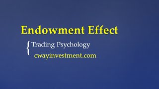 Endowment effect [upl. by Anaeli]