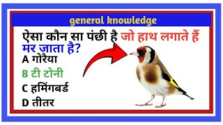 gk Question gk in hindi gk Question and answer [upl. by Margarethe712]