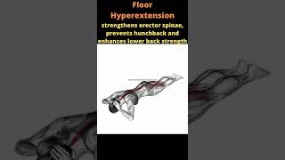 Floor Hyperextension Exercise [upl. by Hgeilyak]