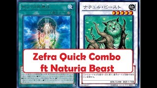 YUGIOH Zefra Naturia Beast Quick Combo [upl. by Oalsinatse]