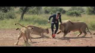 A worlds first Kevin Richardson playing football with wild lions FULL VIDEO [upl. by Ahsile]