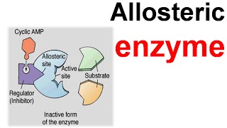 Allosteric enzyme [upl. by Robinet]