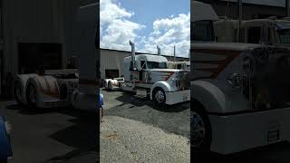 SWEET FREIGHTSHAKER truck freightliner keepontrucking thebarkintrucker tennessee trucker [upl. by Rickert]