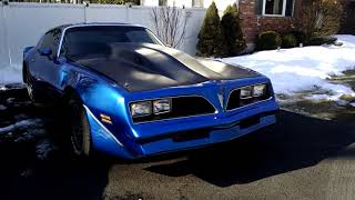 1980 Firebird with Weiand Supercharger [upl. by Arocat]