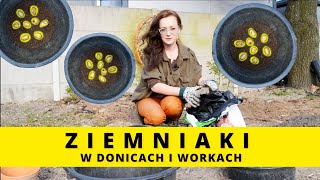 SADZENIE ZIEMNIAKÓW w donicy i w workach na balkonie i tarasieJak sadzić ziemniaki w pojemnikach [upl. by Naugal]