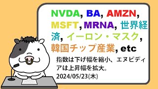 米国株への影響が考えられるニュースヘッドラインを聞き流し【20240523】 [upl. by Messere]