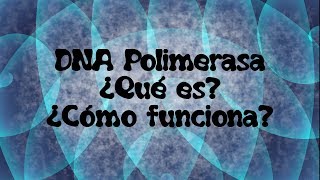 DNA polimerasa ¿Qué es ¿Cómo funciona [upl. by Ofilia178]