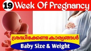 Pregnancy Week by Week Malayalam  19 Weeks Pregnancy Malayalam [upl. by Yesak]