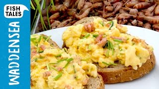 Scrambled Eggs amp BROWN SHRIMP  Bart van Olphen [upl. by Reinald]