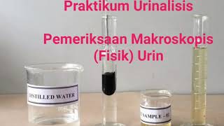 PEMERIKSAAN MAKROSKOPIS URINE [upl. by Cathe690]