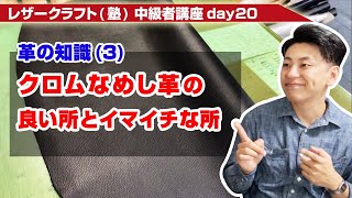 【レザークラフト】中級者講座day20 クロム革の特徴を覚えよう！【メリットとデメリット】 [upl. by Ahsauqram]