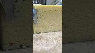 Turning a Parmesan Wheel into Delicious Pieces – Here’s How [upl. by Diehl929]