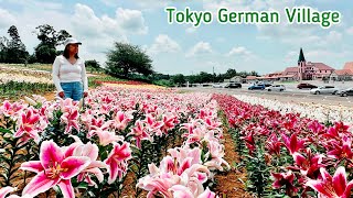 Lily’s flower blooms at Tokyo German Villagelilies scent has a very relaxing effect 『東京ドイツ村のユリ』 [upl. by Apollo]