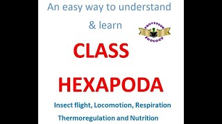 Class hexapoda [upl. by Ronal]