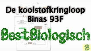 Koolstofkringloop Binas tabel 93F [upl. by Clint299]