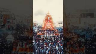 Worlds biggest festival Rath Yatrasreekhetra puri🙏🙏jay Jagannath 🙏🩷🙏jagannath statusshortsfeed [upl. by Padgett]