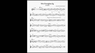 The Monaghan Jig  D Dorian Score and Chords [upl. by Enybor]